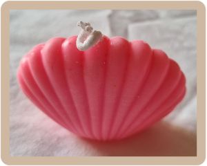 Soy Wax Sea Shell Aromatic Candle