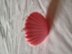 Soy Wax Sea Shell Aromatic Candle