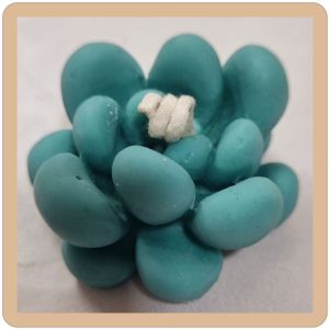Decorative Scented Soy Wax Cactus Candle