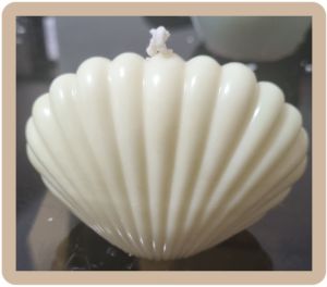 Soy Wax Sea Shell Aromatic Candle