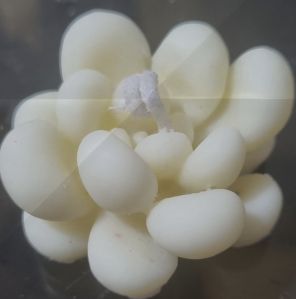 Decorative Scented Soy Wax Cactus Candle