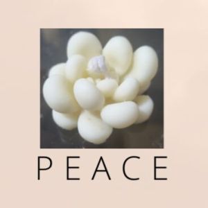 Decorative Scented Soy Wax Cactus Candle