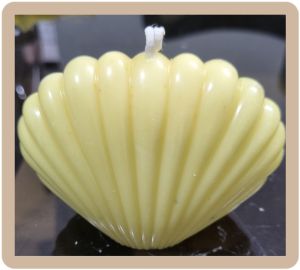 Soy Wax Sea Shell Aromatic Candle