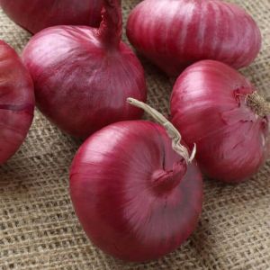 Fresh Red Onion