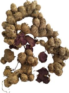 Organic Black Ginger