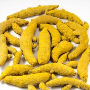 dried turmeric finger