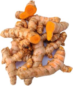 fresh turmeric finger