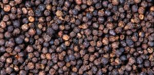 Bold Black Pepper Seeds