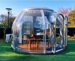 Glass Dome Enclosure