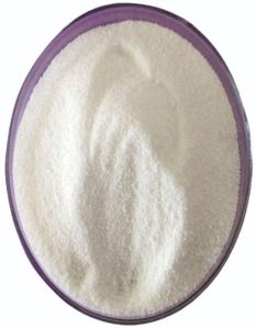 Procaine Powder