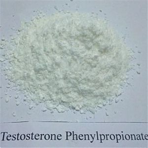 Testosterone Phenylpropionate Powder