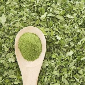 Dehydrated Moringa Leaves Powder