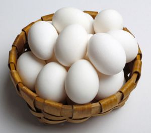 Fresh White Egg