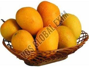 Fresh Alphonso Mango