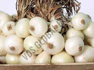 Fresh Bellary White Onion