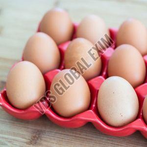 Fresh Brown Egg