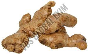 Fresh Mahim Ginger