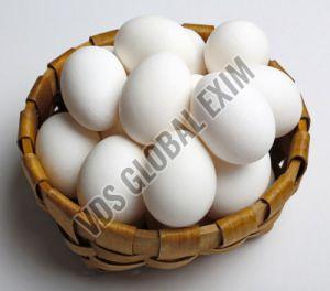 Fresh White Egg