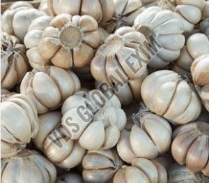 Fresh Yamuna Safed G1 Garlic