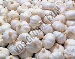 Fresh Yamuna Safed G50 Garlic