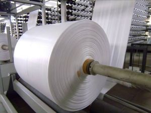 PP Woven Roll