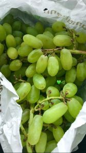 Green Grapes