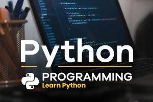 Python Programming Course