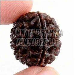 1 Mukhi Rudraksha