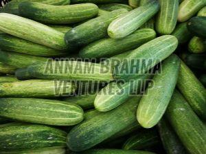 A Grade Fresh Cucumber