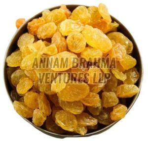 Yellow Dried Resin