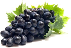 Fresh Black Grapes