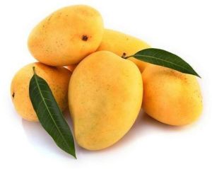 Fresh Kesar Mango