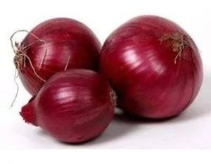 Fresh Red Onion