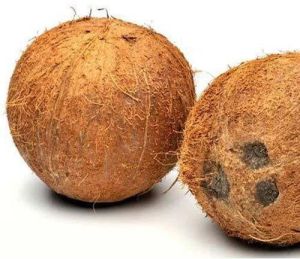 A Grade Husked Coconut