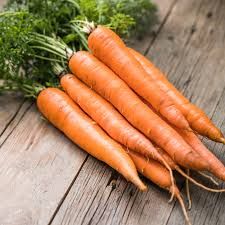 Fresh Orange Carrot