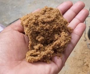 Jaggery Powder