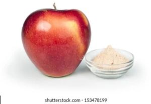 GVEI Spray Dried Apple Powder