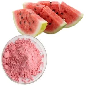 GVEI Spray Dried Watermelon Powder
