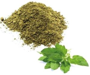 GVEI Spray Dried Tulsi Leaf Powder