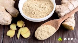 GVEI Dehydrated Ginger Powder