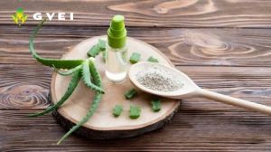 GVEI Aloe Vera Powder