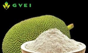 GVEI Dehydrated Jackfruit Powder