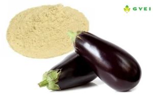 GVEI Dehydrated Brinjal Powder