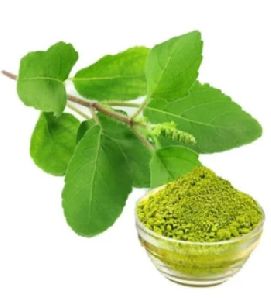 GVEI Spray Dried Tulsi Leaf Powder