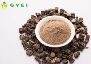 GVEI Shikakai Powder
