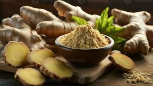 GVEI Dehydrated Ginger Powder