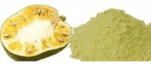 GVEI Dehydrated Jackfruit Powder
