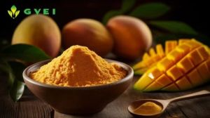 GVEI Dehydrated Mango Powder