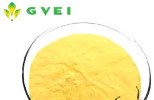 GVEI Cosmetic Passion Fruit Powder