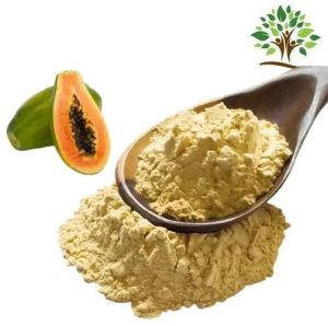 GVEI Spray Dried Papaya Powder